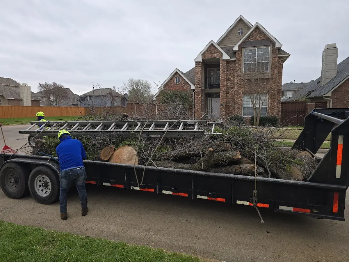 Expert Tree Pest Control with proper safety equipment in Decatur